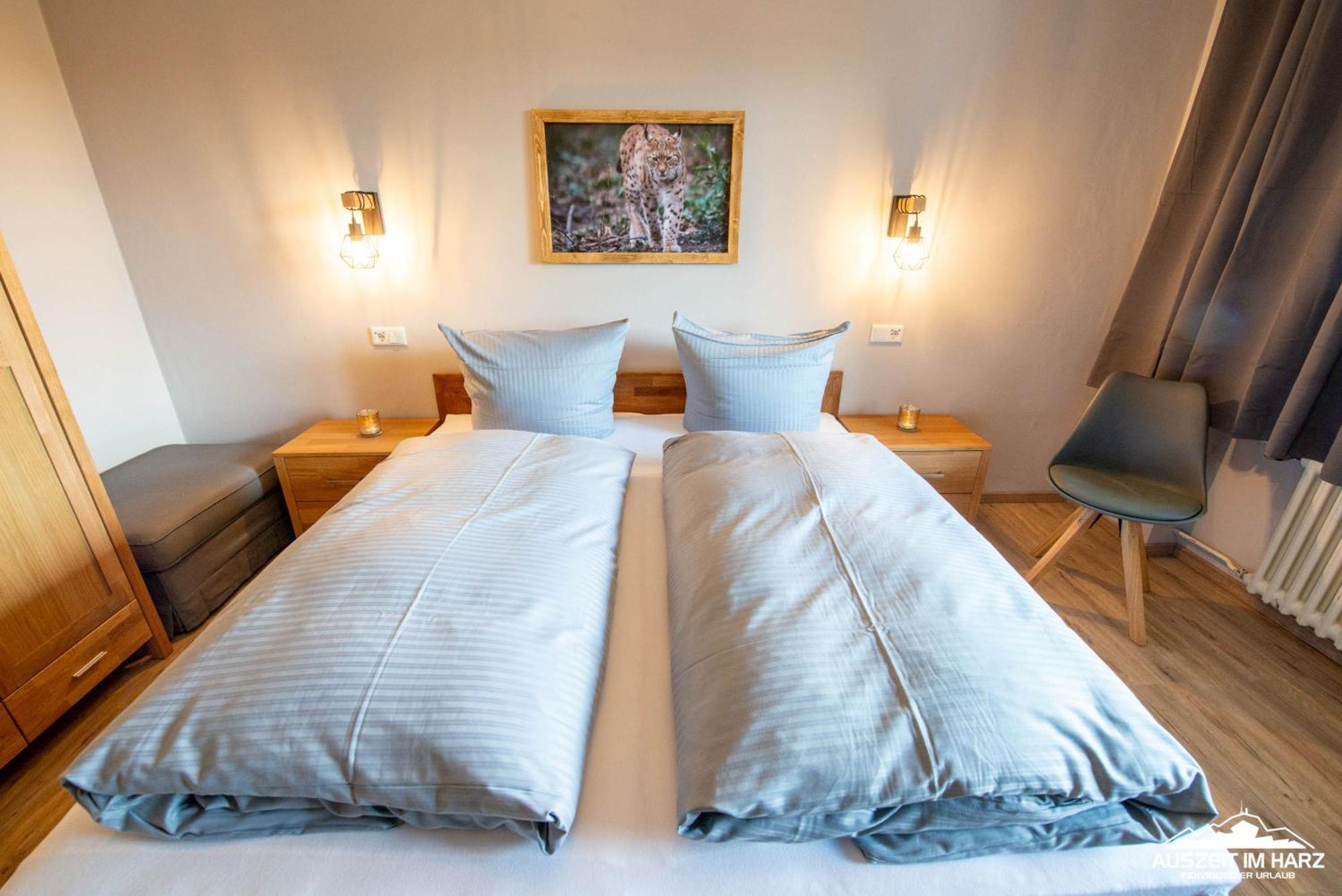 Auszeit-Im-Harz Haus 3 Wohnung 3 Braunlage Eksteriør bilde
