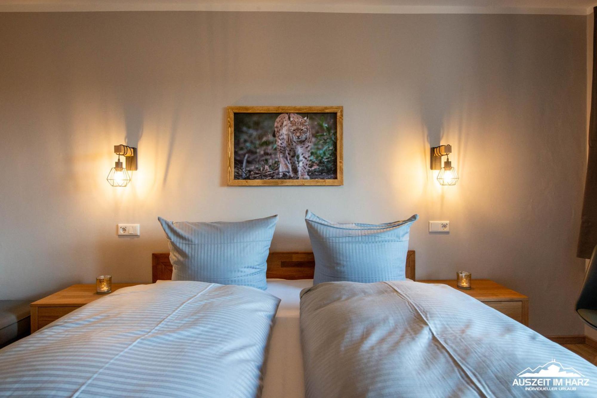 Auszeit-Im-Harz Haus 3 Wohnung 3 Braunlage Eksteriør bilde