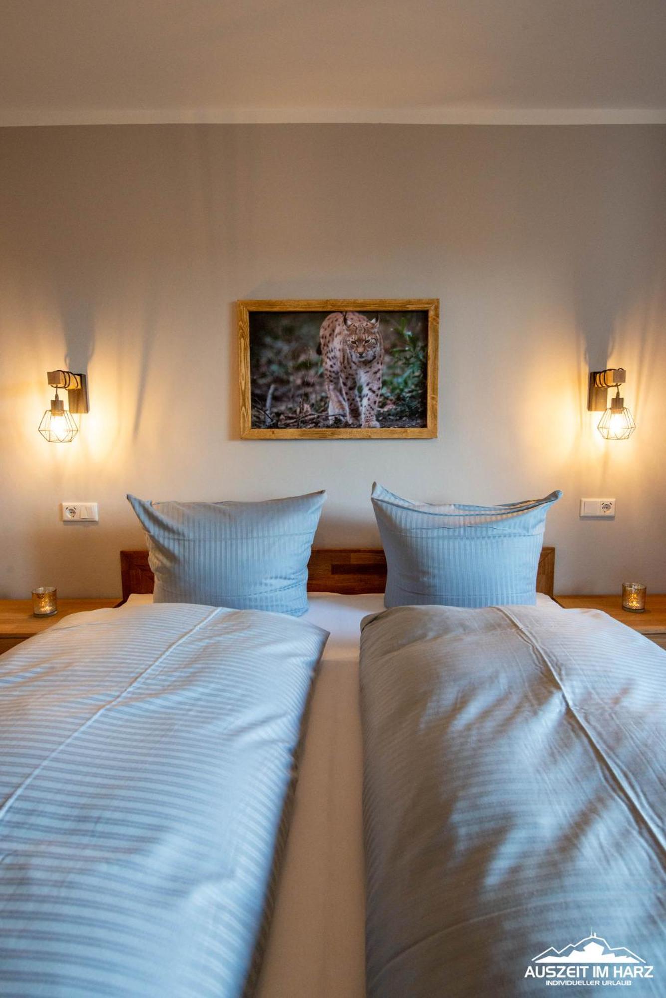 Auszeit-Im-Harz Haus 3 Wohnung 3 Braunlage Eksteriør bilde