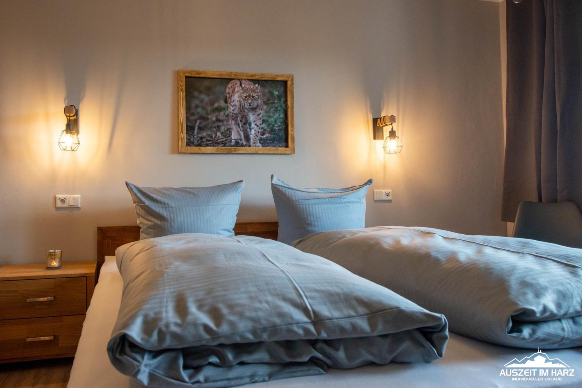 Auszeit-Im-Harz Haus 3 Wohnung 3 Braunlage Eksteriør bilde