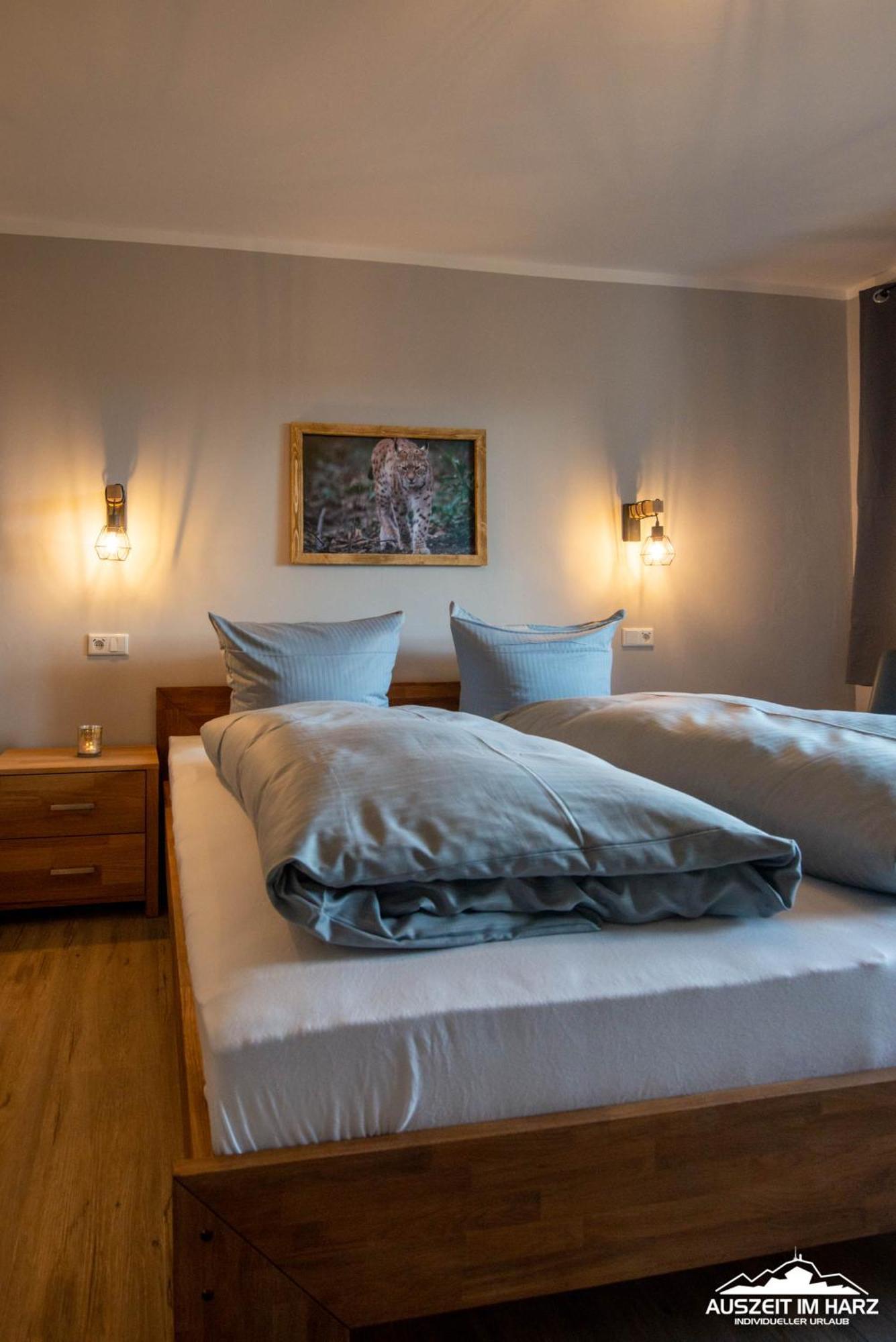 Auszeit-Im-Harz Haus 3 Wohnung 3 Braunlage Eksteriør bilde